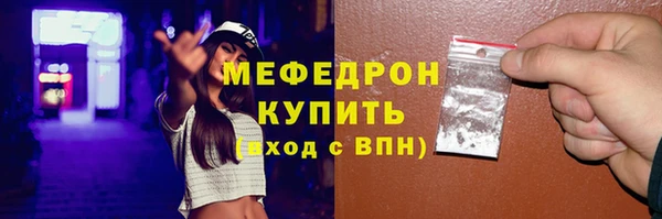 spice Инта