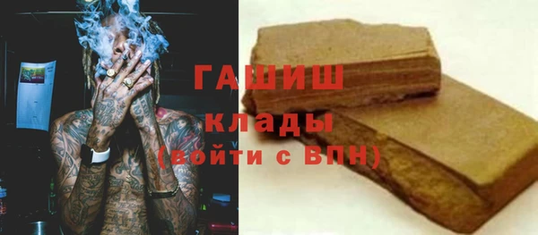 spice Инта