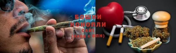 spice Инта