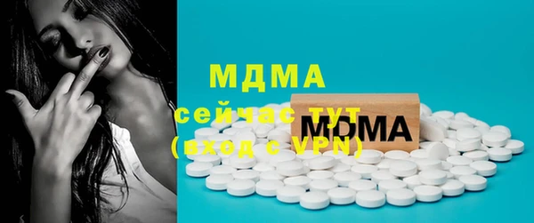 spice Инта