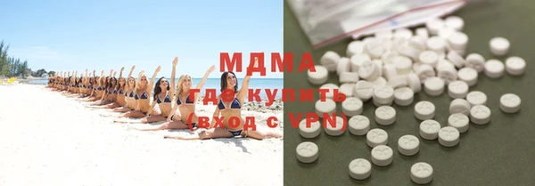 spice Инта
