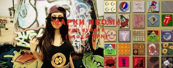 spice Инта