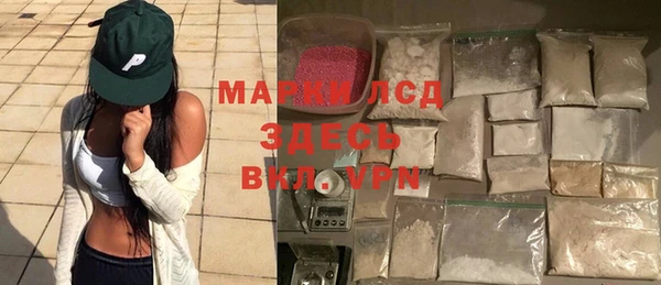 spice Инта