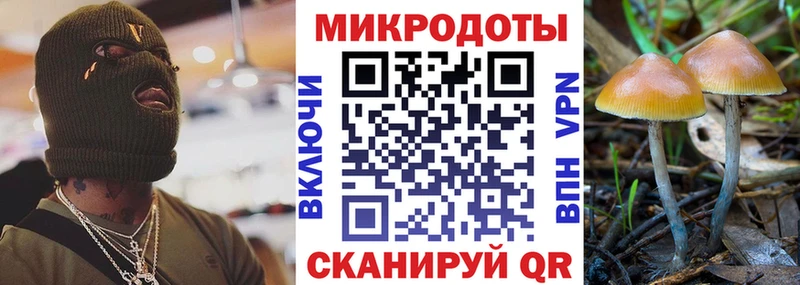 Псилоцибиновые грибы ЛСД  дарк нет какой сайт  Ивдель 